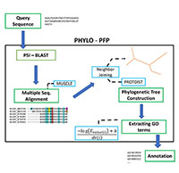 Aashish Jain and Professor Kihara have recently developed Phylo-PFP